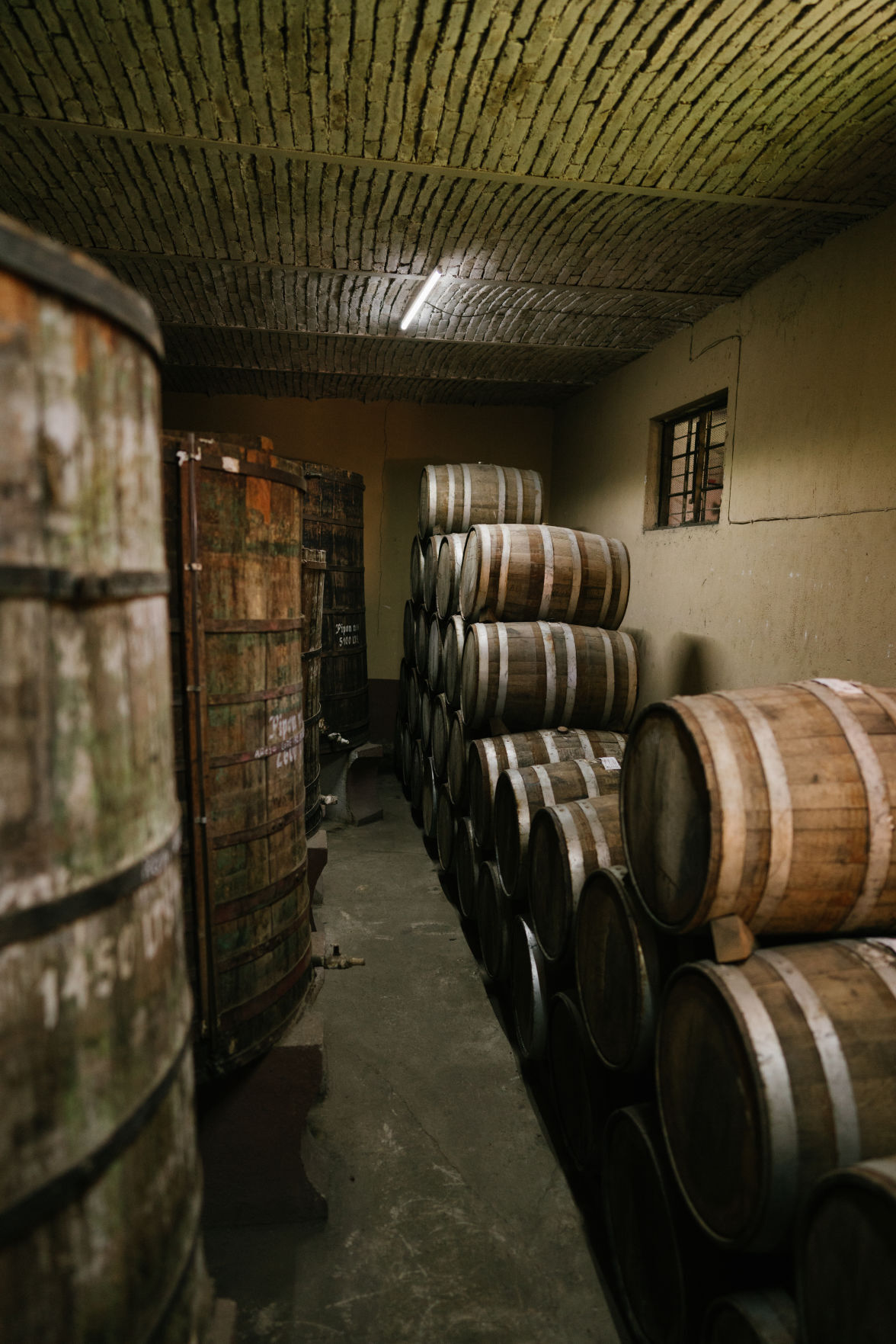 Wild Common tequila